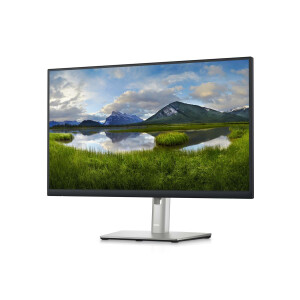 Dell 24 Monitor - P2423D - 60.5cm 23.8" - 60,5 cm