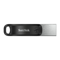 SanDisk SDIX60N-256G-GN6NE - 256 GB - 3.2 Gen 1 (3.1 Gen...