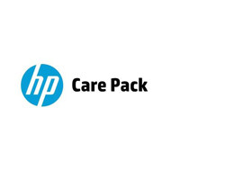 HP Electronic HP Care Pack Software Technical Support