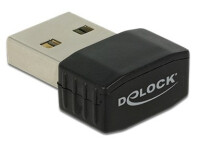 Delock USB 2.0 Dual Band WLAN ac/a/b/g/n Nano Stick -...