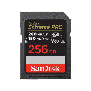 SanDisk SDSDXEP-256G-GN4IN - 256 GB - SDXC - Klasse 10 -...