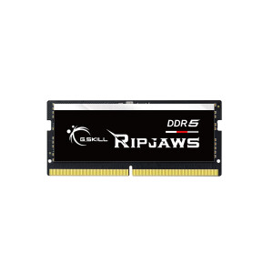G.Skill Ripjaws F5-5600S4645A16GX1-RS - 16 GB - 1 x 16 GB - DDR5