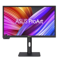 ASUS ProArt PA24US 61.13cm - Flachbildschirm (TFT/LCD)
