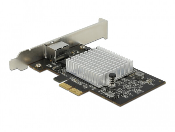 Delock 89528 - Kabelgebunden - PCI Express - Ethernet - 10000 Mbit/s