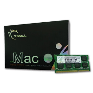 G.Skill 4GB DDR3-1066 SQ MAC - 4 GB - 1 x 4 GB - DDR3 -...